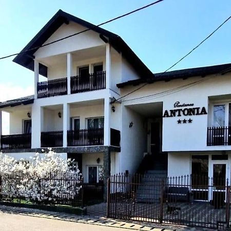 Pensiunea Antonia 瓦特拉多梅 外观 照片