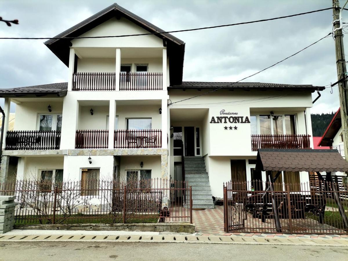 Pensiunea Antonia 瓦特拉多梅 外观 照片