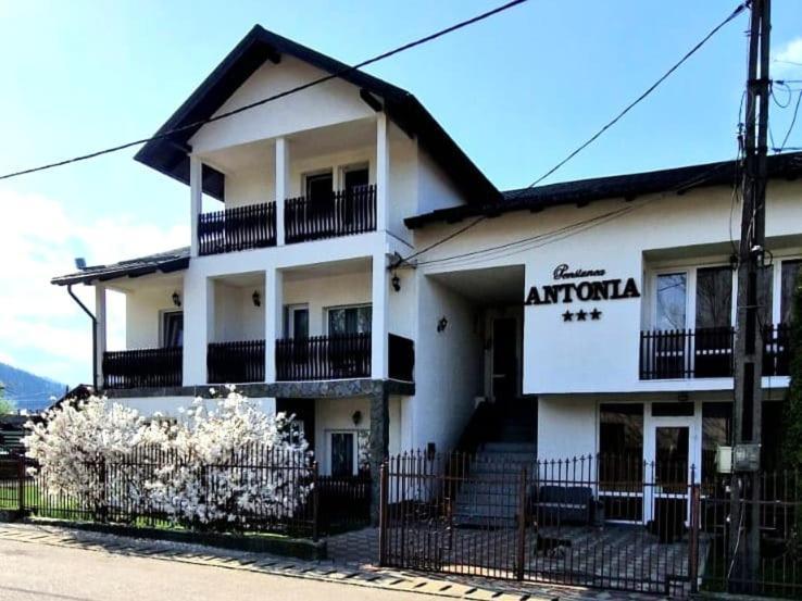 Pensiunea Antonia 瓦特拉多梅 外观 照片